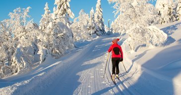 Suomen Lappi on Pohjolan talvimatkailun ykkönen